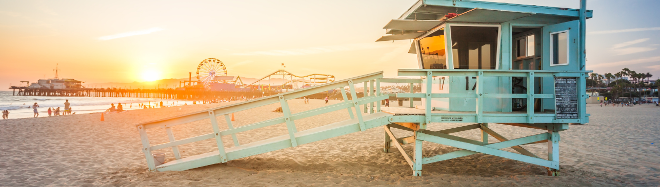 Santa Monica Beach Restoration: Protecting the Coast and Wildlife